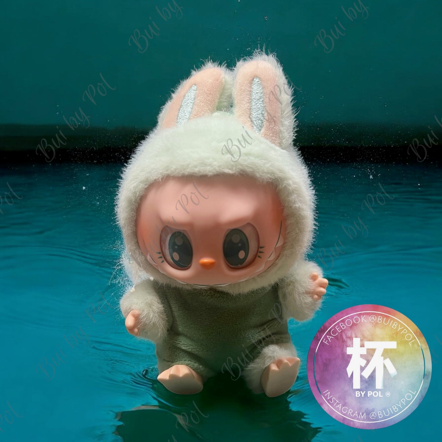 Labubu Tortoise outfit